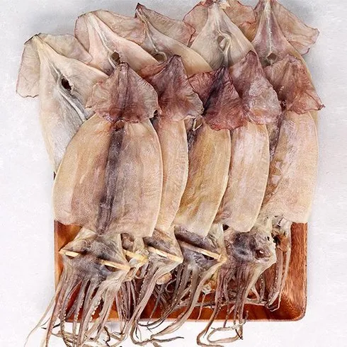 강력추천 구룡포 마른 오징어 60g x 10미 총 600g_3 베스트8