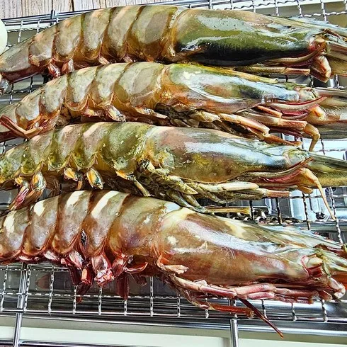 강력추천 궁키친 이상민 블랙 타이거 새우 5팩 100미 갈릭 감바스소스 1병 추천상품