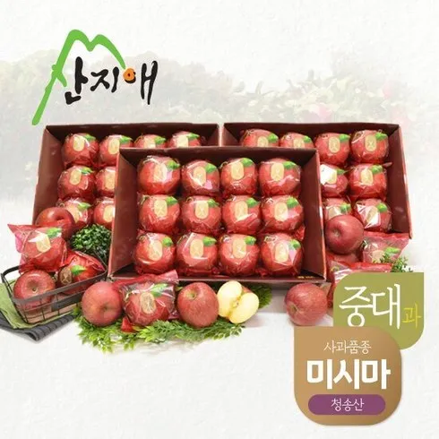 가성비최고 산지애 사과 9kg 총 3645과(중과 베스트8