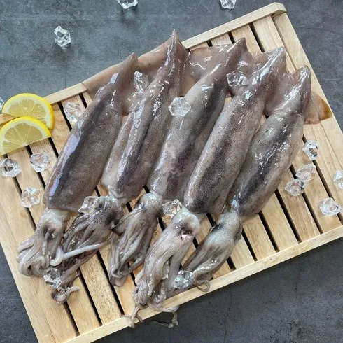 2024년 최고의 손질 대사이즈 통 오징어 130g x 18마리 리뷰