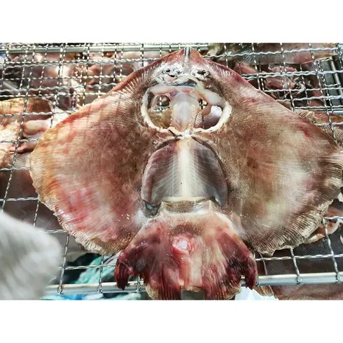 2024년 최고의 국내산자연산 반건조 손질 간재미 250g13팩 추천상품