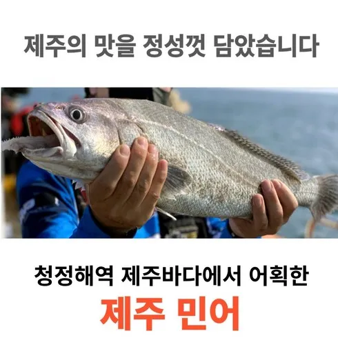 2024년 최고의 민어 베스트상품