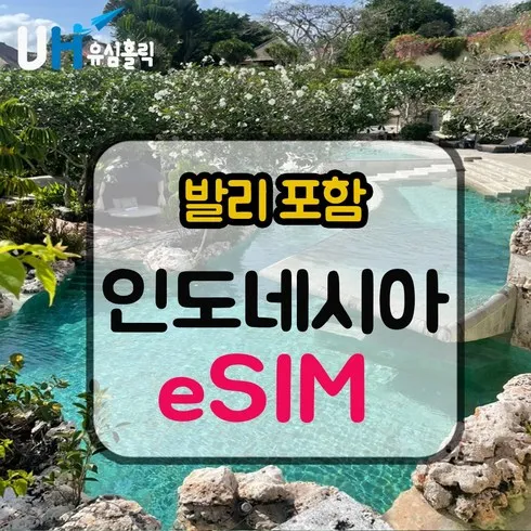 2024년 최고의 인도네시아이심 베스트상품