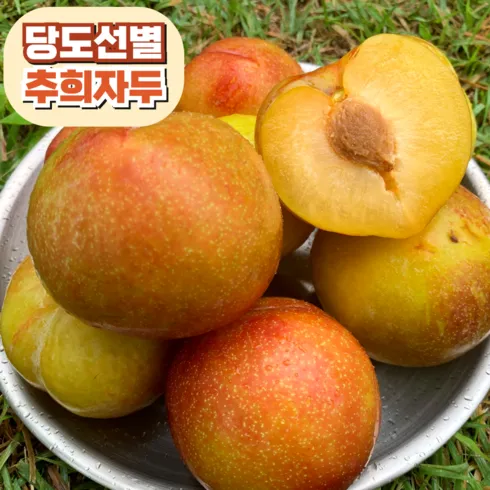 강력추천 김천자두 리뷰