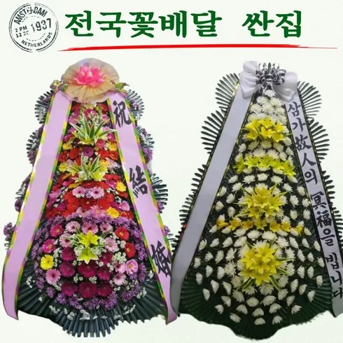 가성비최고 꽃톡화환 베스트8