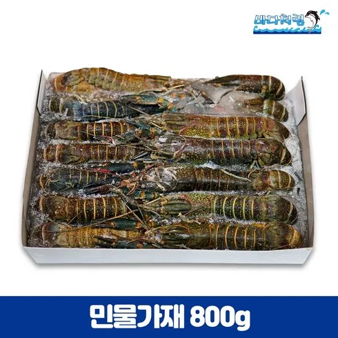 2024년 최고의 블루가재 추천상품