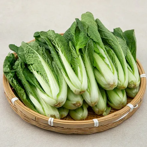 가성비최고 얼갈이 베스트상품