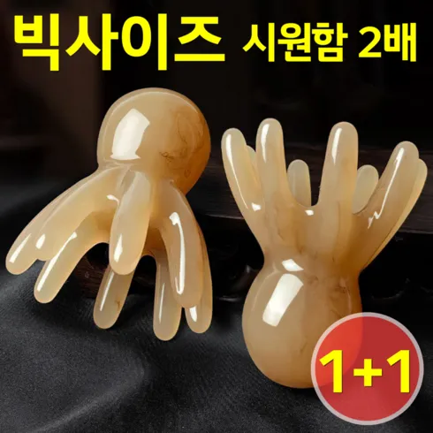 2024년 최고의 두피괄사 추천상품