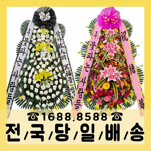 2024년 최고의 원탑플라워 베스트상품